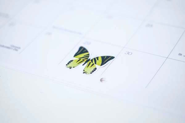 Yellow striped butterfly sticker on white calendar box