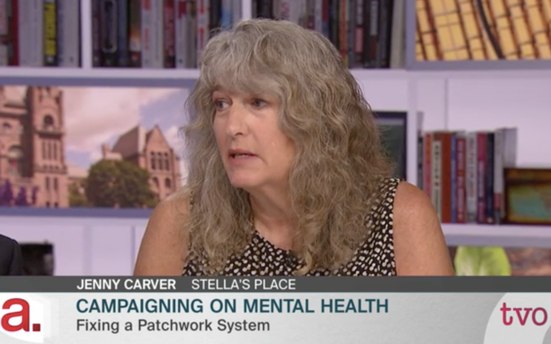 Our Executive Director, Jenny Carver, speaking on Steve Paikin’s The Agenda