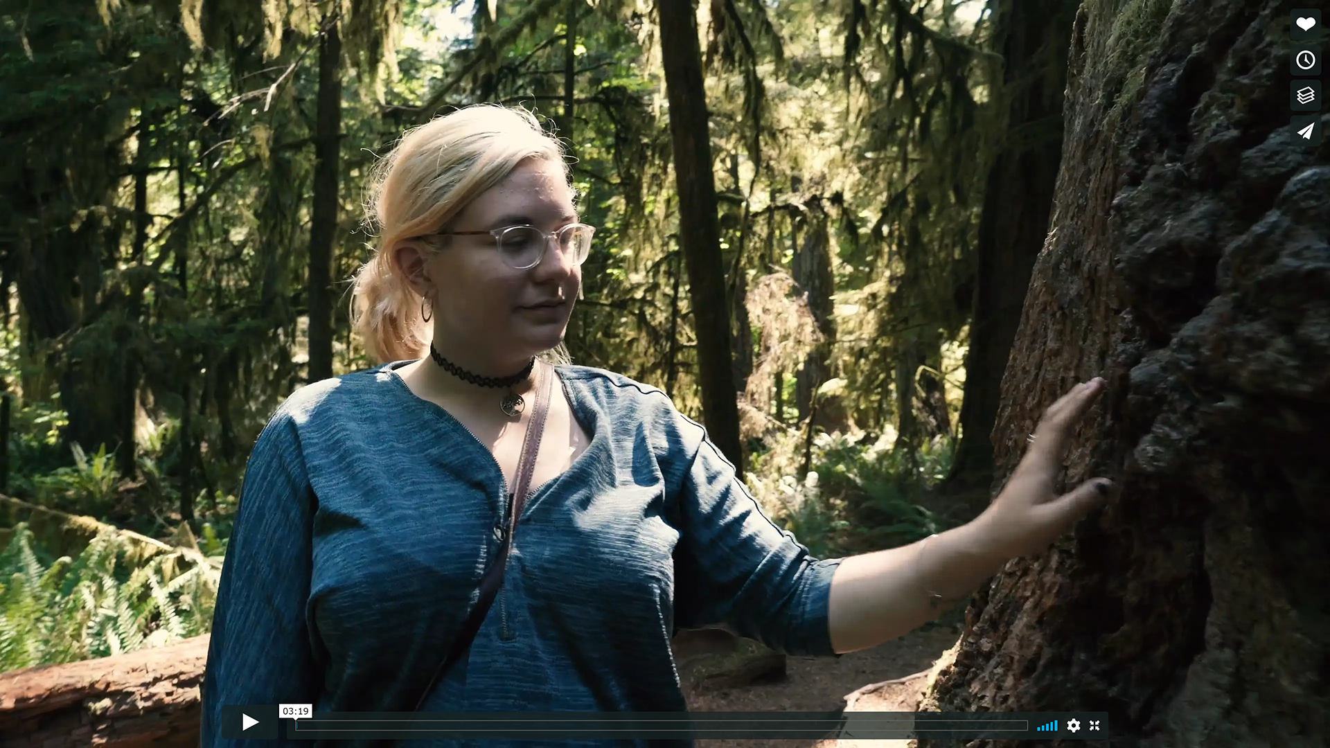 Photograph of a person with long blonde hair, wearing clear rimmed glasses, a blue t-shirt, and a black choker necklace. Their hand is stretched out, resting on a tree trunk. In the background is a green forest at midday and the sun is shining on the right half of the persons figure.
