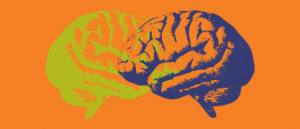 A bright orange graphic with illustrations of two overlapping brains, one lime green and one dark purple.